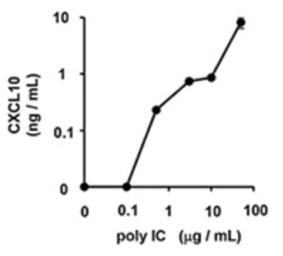 CXCL10 concentration in the medium was measured using an ELISA kit.JPG